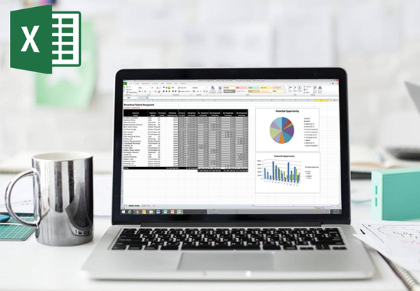 MS Excel for 21st Century Professionals - Level 1